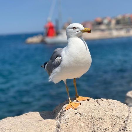 Studio Piran Apartment Екстериор снимка